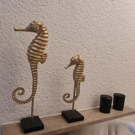 Zeedijk Met Frontaal Zeezicht Nabij Rubensplein En Casino, 20m קנוקה-הייסט